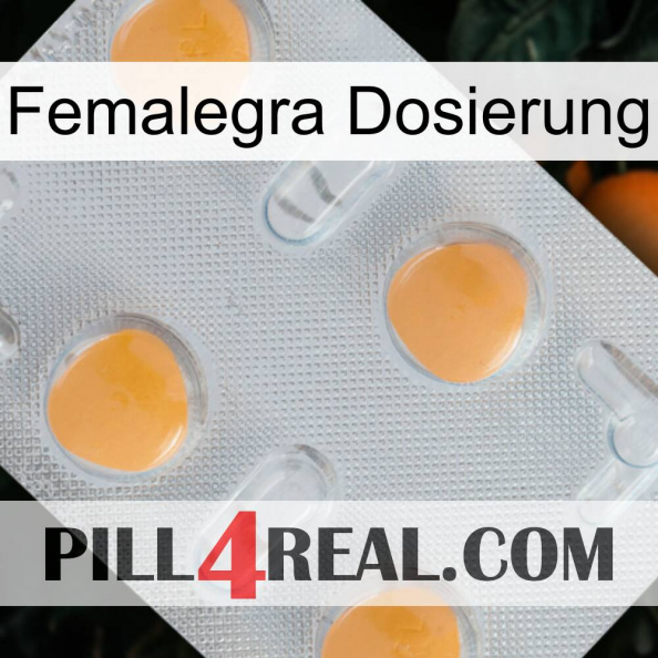 Femalegra Dosage 24